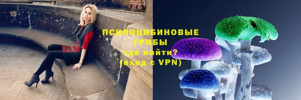 2c-b Костерёво