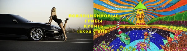 мяу мяу мука Корсаков