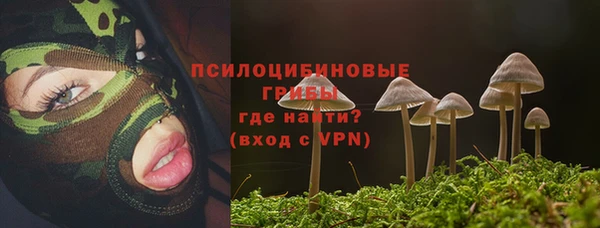 ALPHA PVP Коряжма