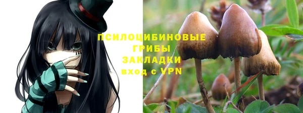 2c-b Костерёво