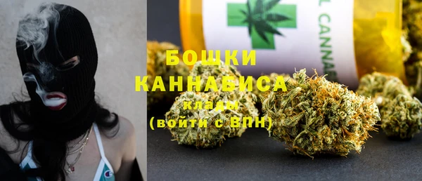 ALPHA PVP Коряжма